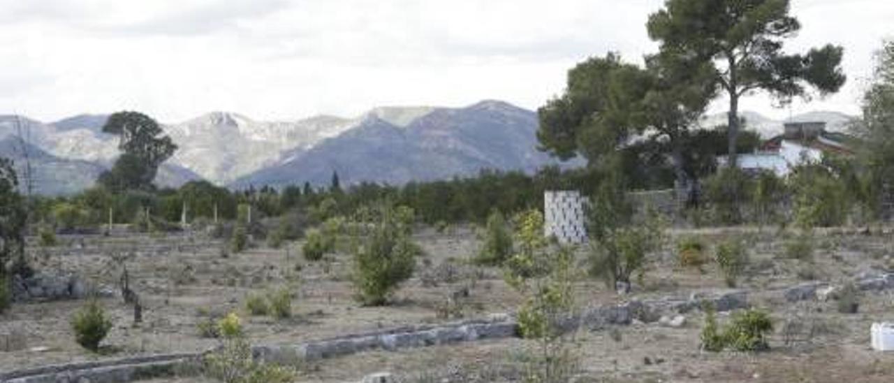 El Catastro deprecia más de un 91 % la playa de l&#039;Auir y abre la vía a una «expropiación barata»