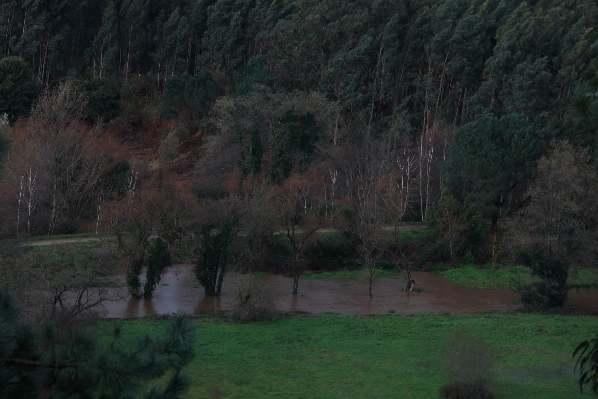 EN IMÁGENES: Así está siendo el temporal del lluvia, viento, oleaje y nieve que azota Asturias