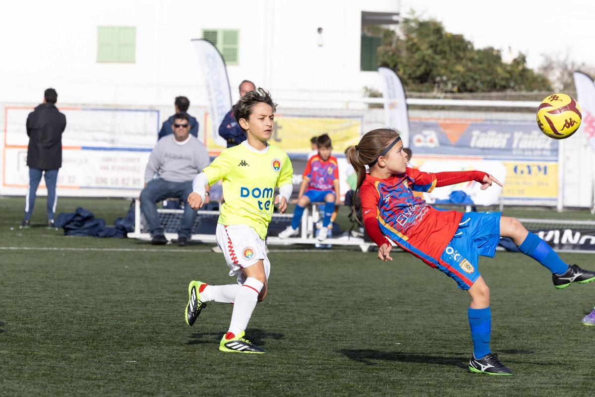 Galería: Torneo Fibwi en Sant Antoni Galería: Torneo Fibwi en Sant Antoni
