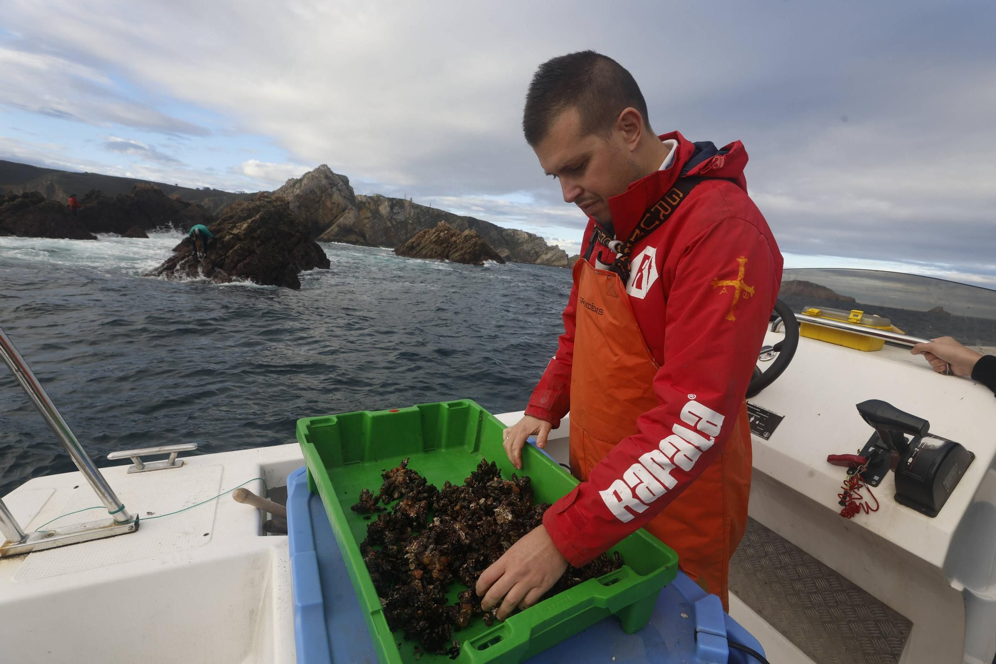 EN IMÁGENES: Así es la dura jornada de los perceberos del cabo Peñas: un oficio de alto riesgo a merced de las olas