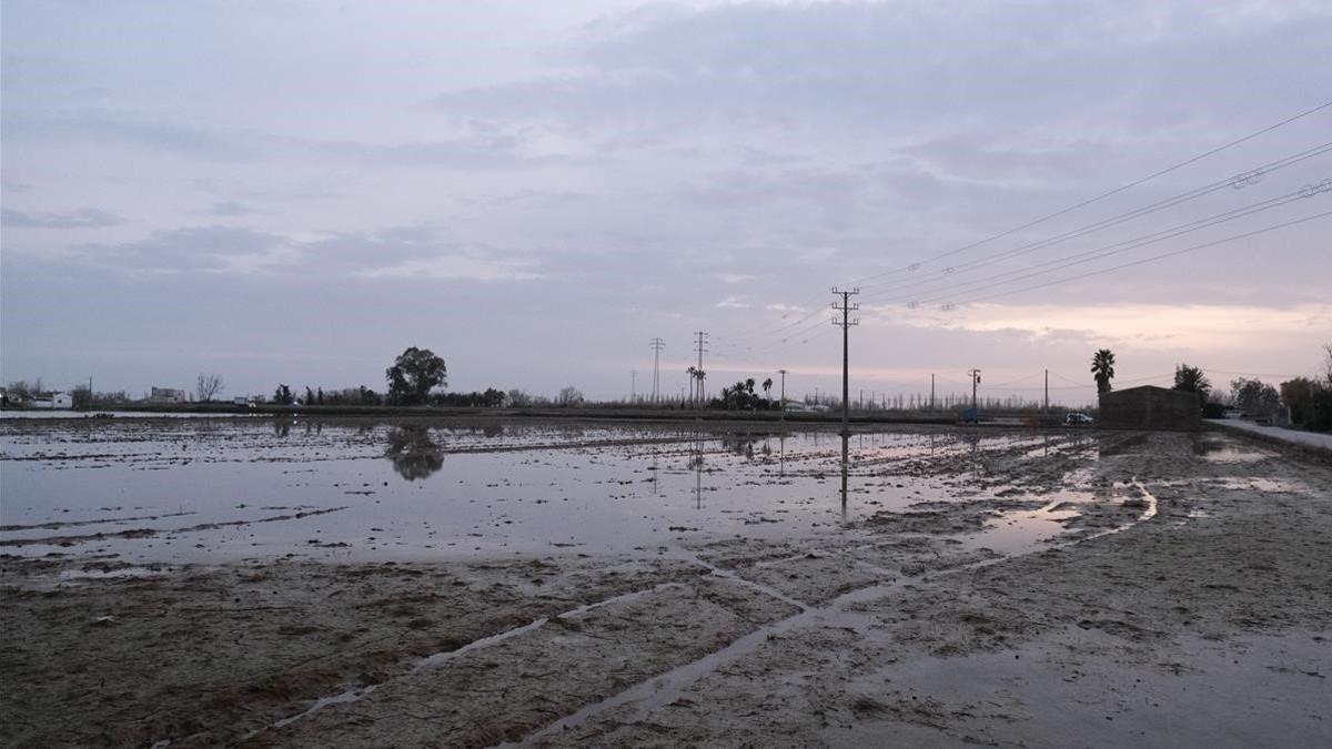 Zona cercana a Riumar (Baix Ebre) en el Delta del Ebre, inundada por el temporal 'Glòria', el 24 de enero del 2020