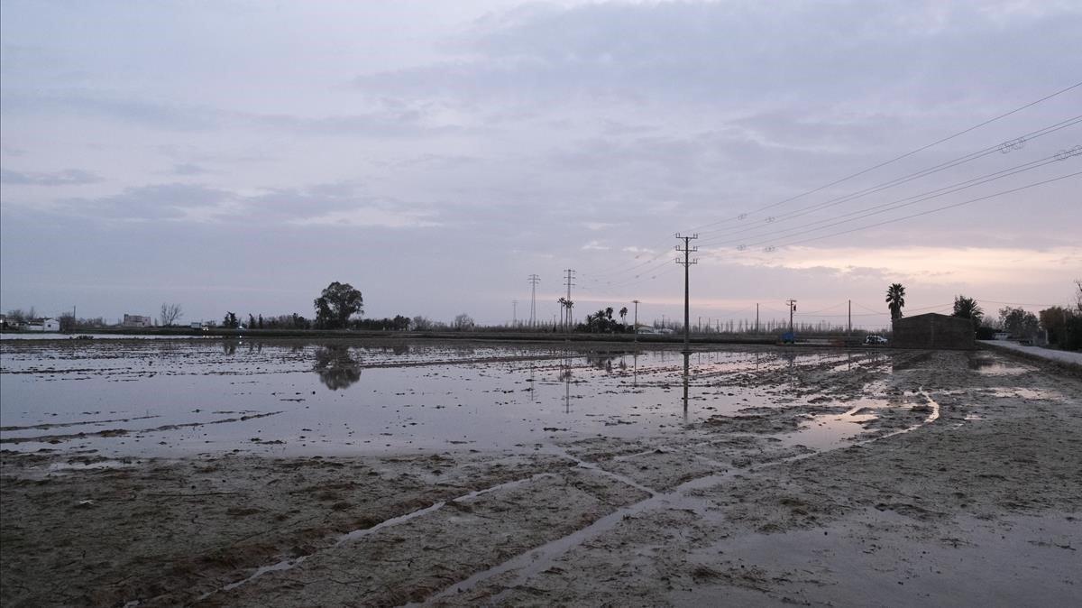 zentauroepp52824692 24 01 2020 zona cercana a riumar  tarragona   en el delta de200317172029