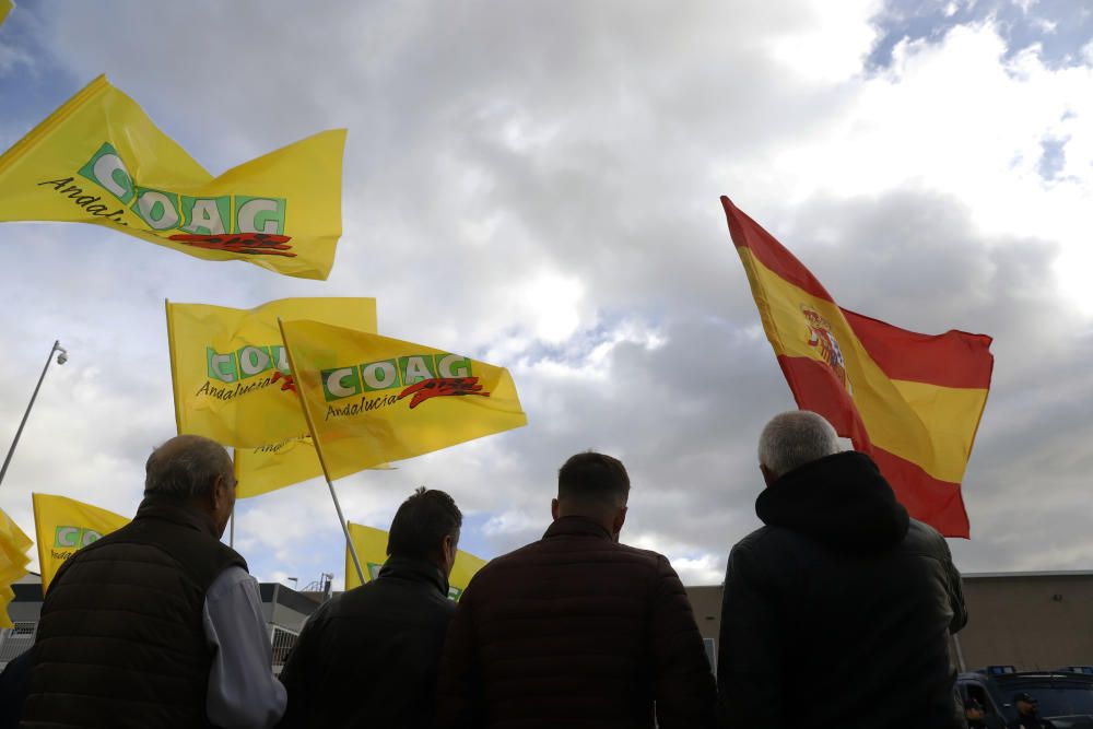 Los agricultores se manifiestan en Málaga contra la bajada de precios