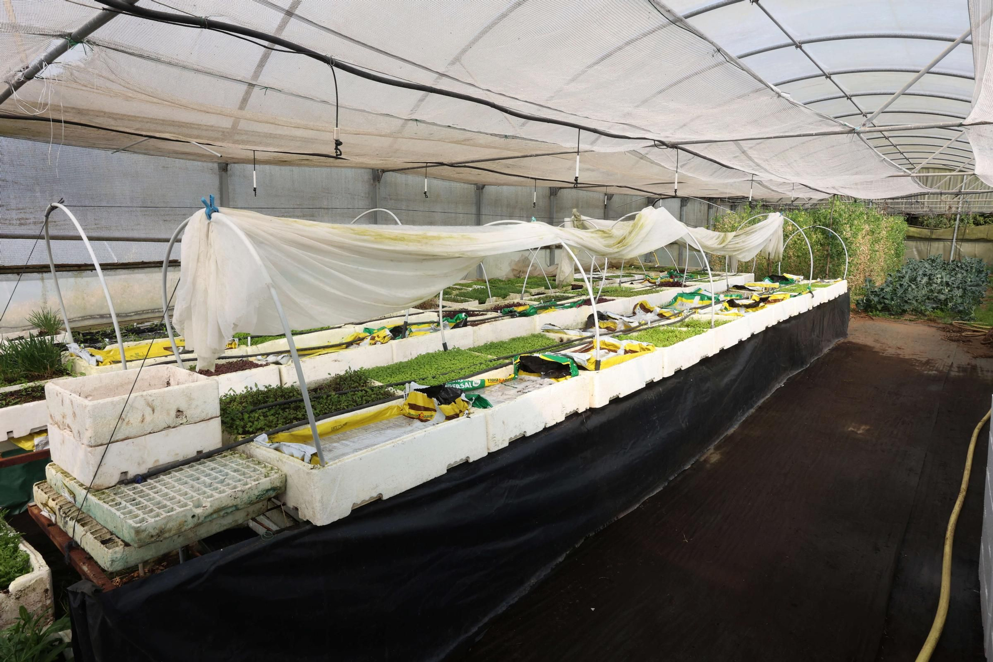La Reserva da Biosfera Mariñas Coruñesas e Terras do Mandeo presenta en Paderne la feria Biocultura A Coruña 2025