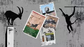 El Zoo de Banksy en Londres: una invasión animal tras dos semanas marcadas por los disturbios