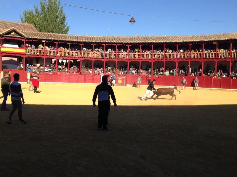 Toro de cajón y encierro urbano en Toro