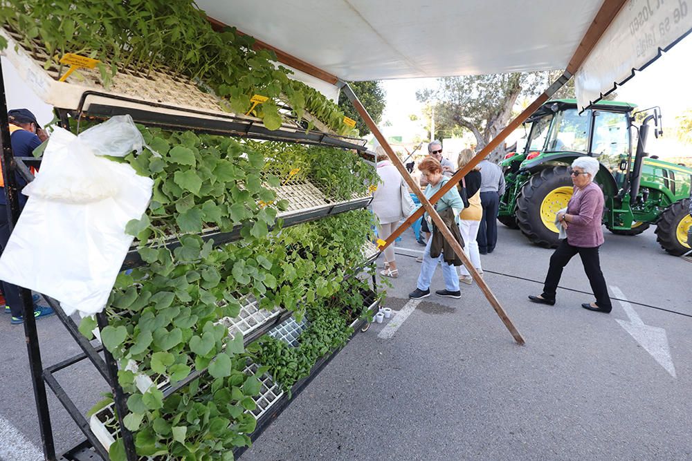 Fiestas de San Isidro en Sant Josep