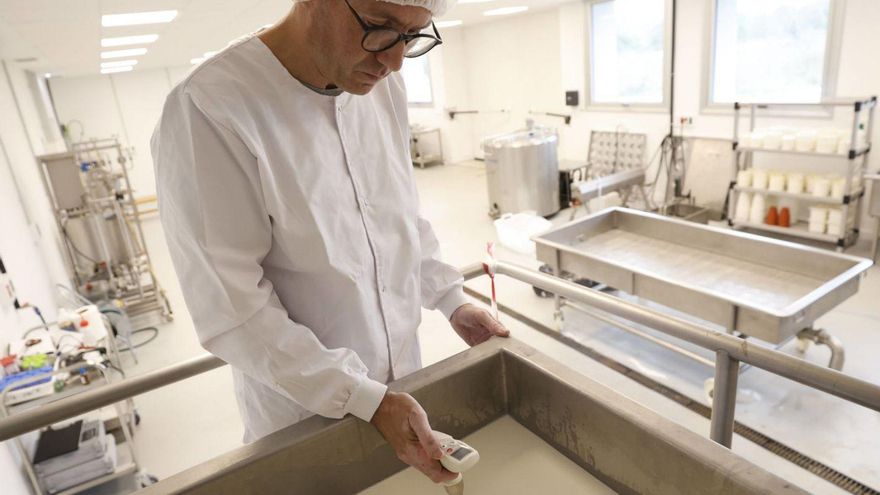 Identifican genes bacterianos resistentes a los antibióticos, gracias a las queserías asturianas: este es el gran proyecto en el que trabaja el IPLA en Oviedo