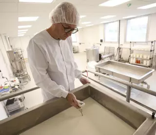 Identifican genes bacterianos resistentes a los antibióticos, gracias a las queserías asturianas: este es el gran proyecto en el que trabaja el IPLA en Oviedo
