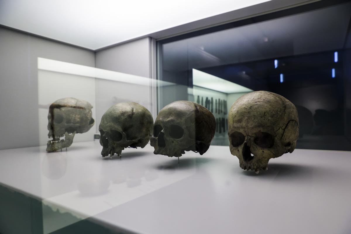 Cráneos recuperados en las minas de cobre del Aramo