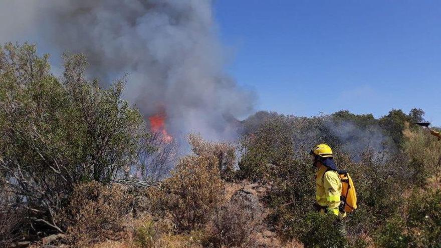 El incendio forestal de Villanueva del Rey calcina 70 hectáreas