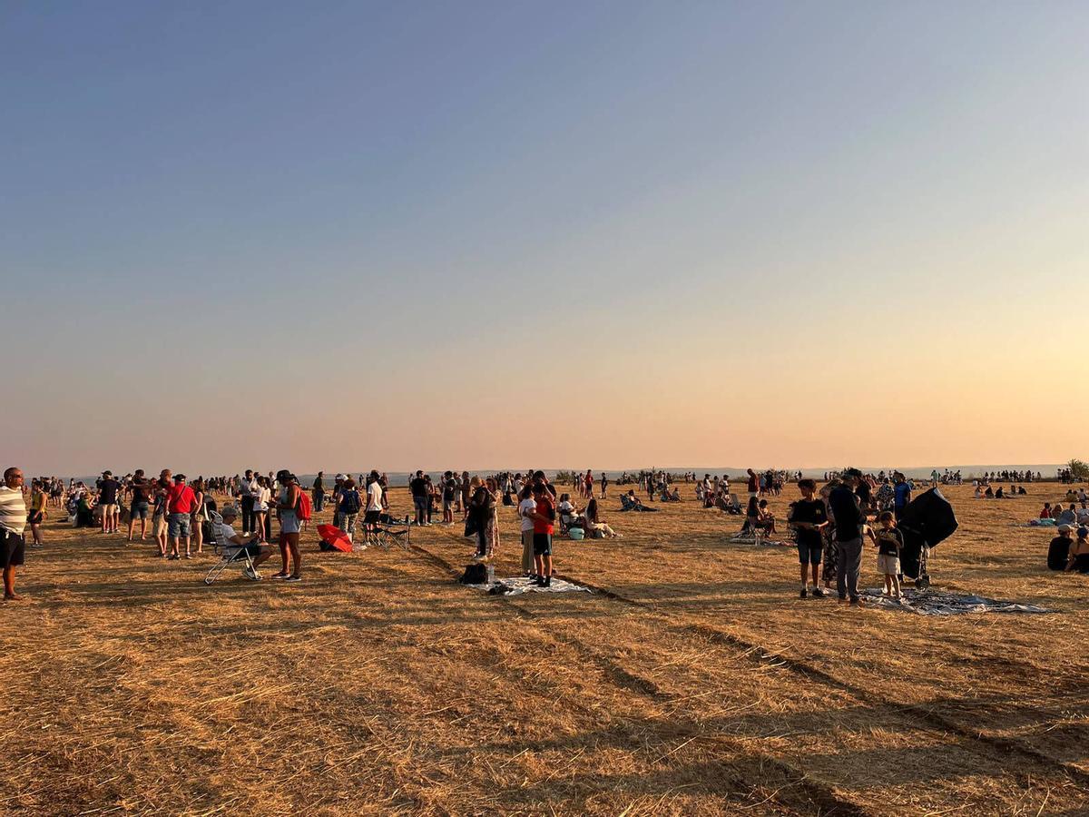 GALERÍA | Toro oscurecido con motivo del eclipse