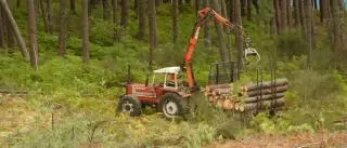 La madera gallega alcanza 2.800 millones de negocio en el año de la crisis energética