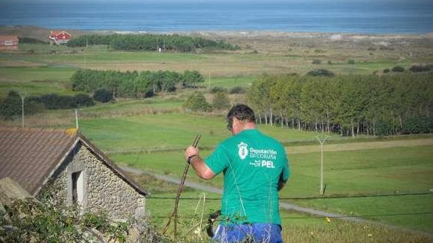 Un trabajador del programa de la Diputación faena en el campo.