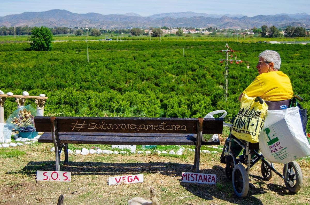 La Vega de Mestanza, este jueves.