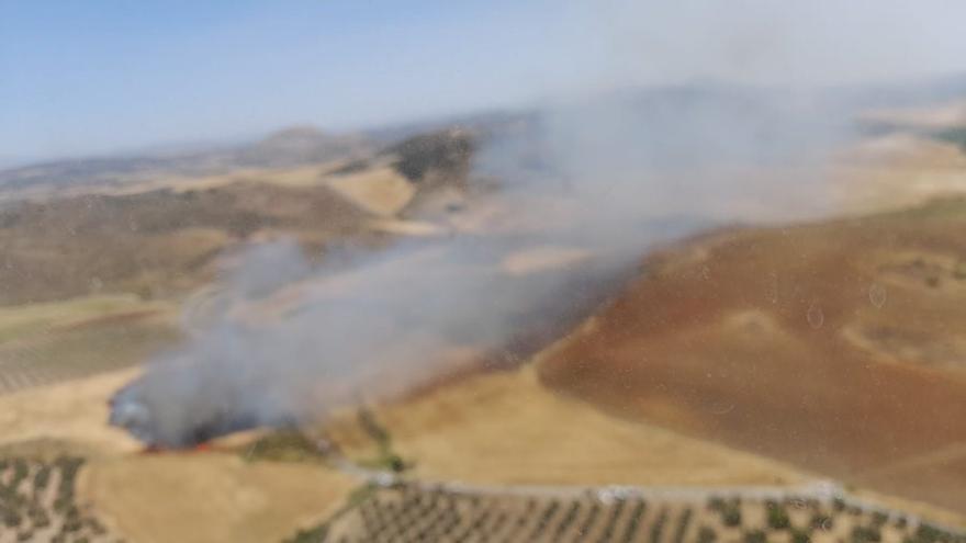 Incendio agrícola en Teba (Málaga)