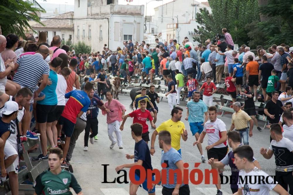 Quinto encierro en Calasparra