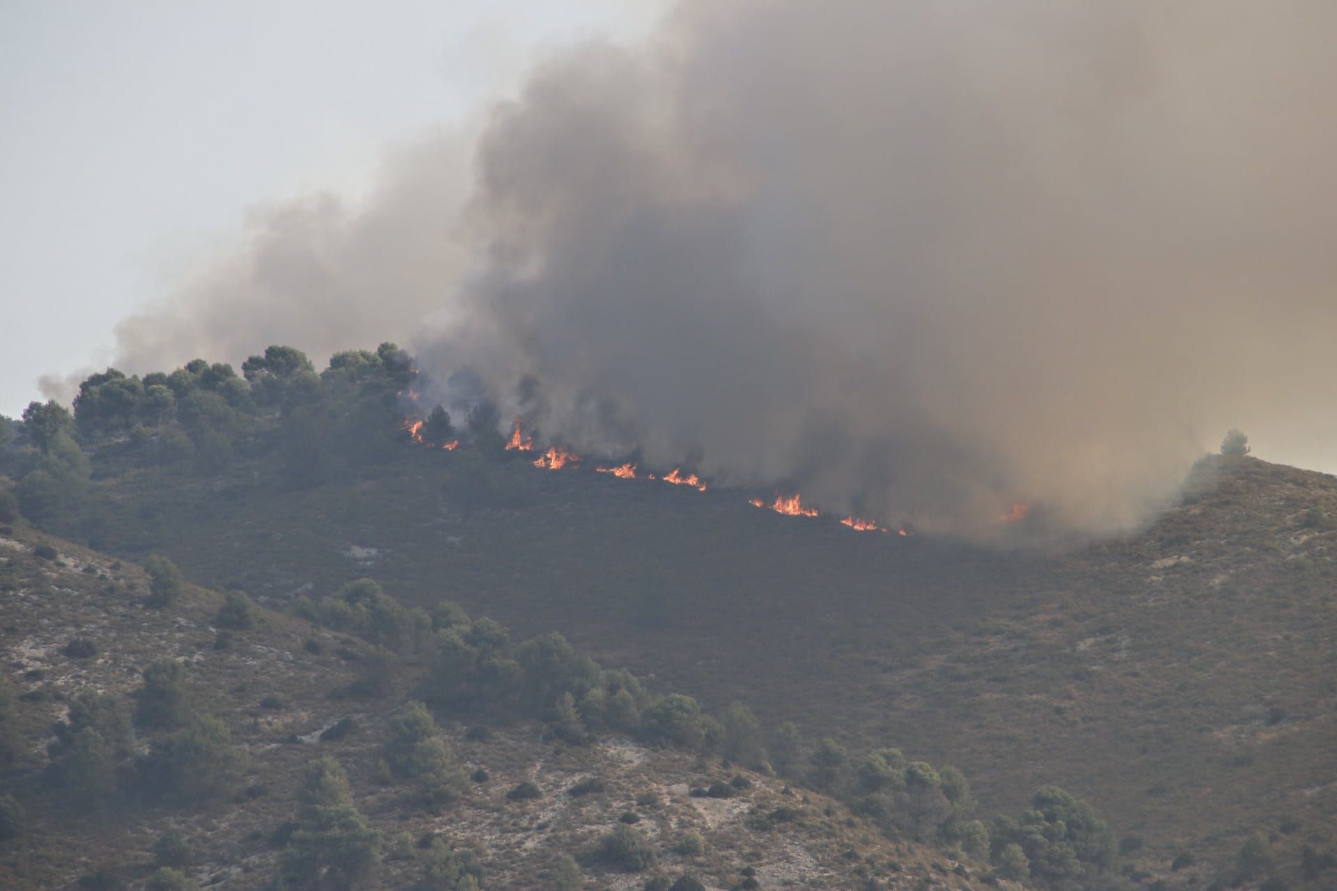 Tras cuatro días de incendio en la Vall d'Ebo, la climatología puede ponerse a favor de los bomberos.