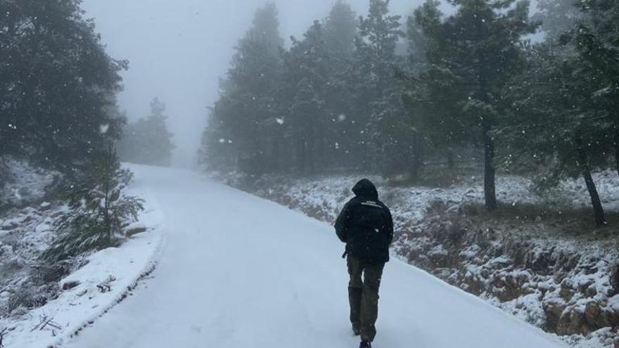 La nieve continúa acumulándose en Sierra Espuña.