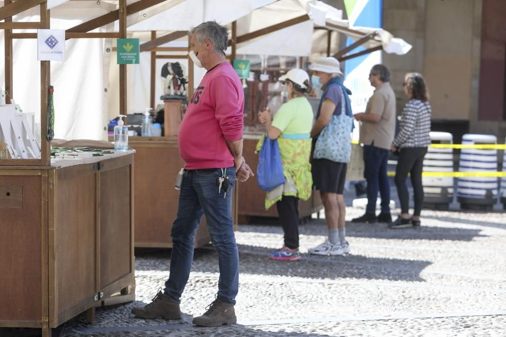 Vuelve el Mercado Artesano y Ecológico de Gijón