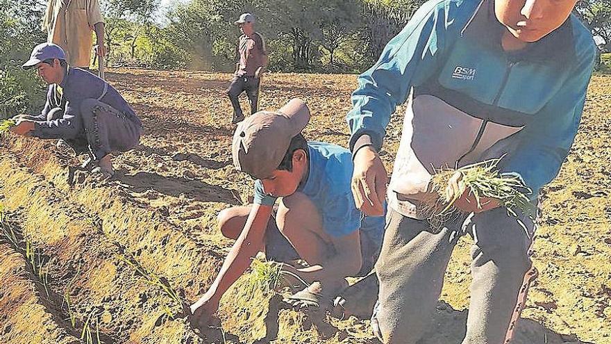 El Parlamento de Andalucía apoya un proyecto de la FSU en Bolivia