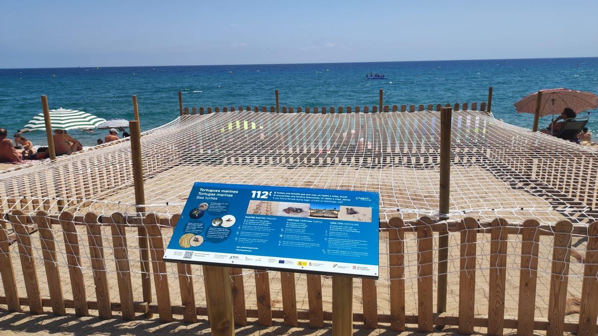 L'espai on la tortuga ha niat; protegit i amb un cartell informatiu.