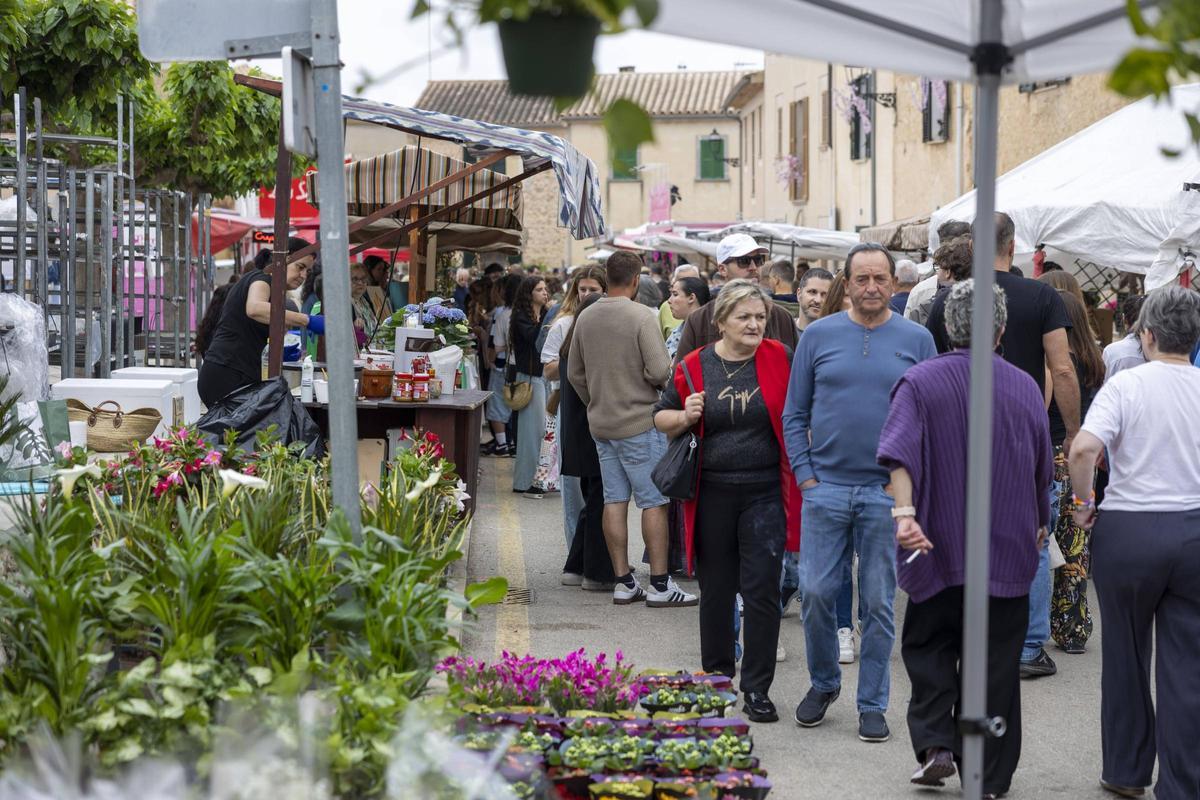 Las mejores imágenes de la Fira de les Flors de Costitx