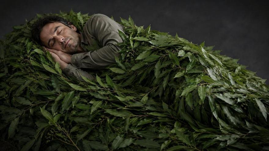 Qué significa "dormirse en los laureles" y de dónde viene esta expresión