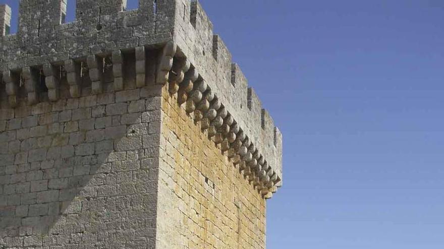 Un grupo de turistas visita la torre del castillo de Villalonso. Acceso a la iglesia de San Martín de Pinilla. Fotos