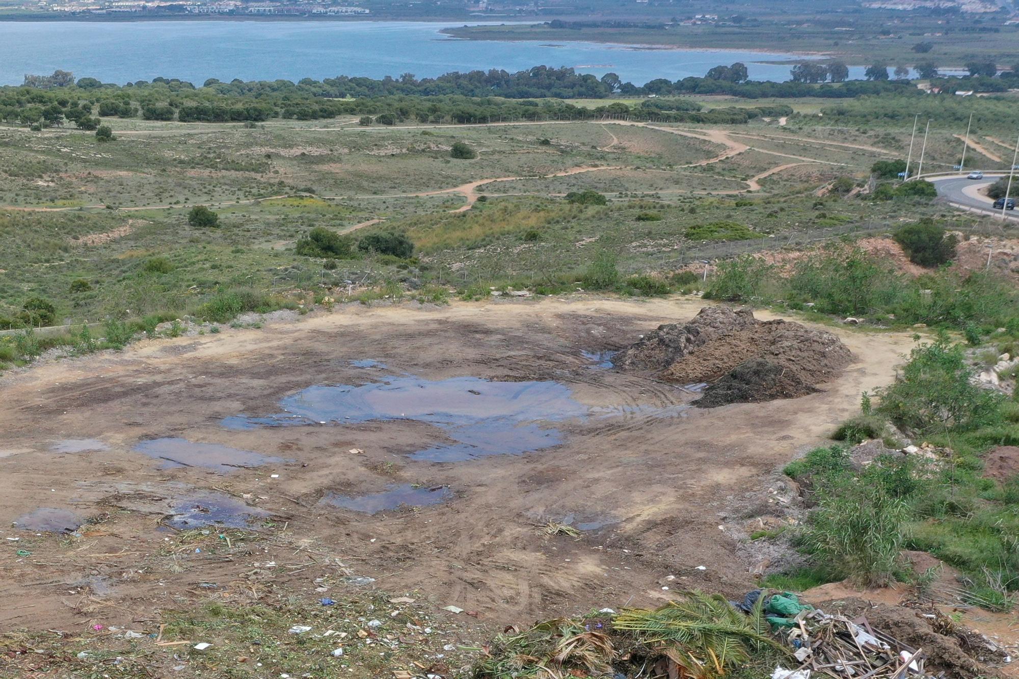 Torrevieja usa el parque abandonado del Alto de la Casilla como vertedero de toneladas de podas y algas