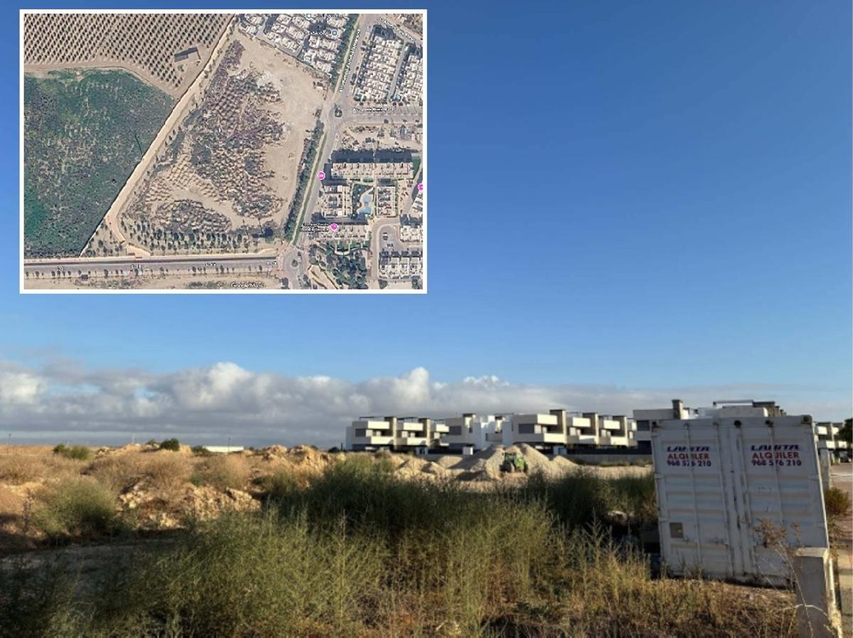 Parte de la parcela municipal que salido a subasta. En detalle, la vista área del terreno ofertado.