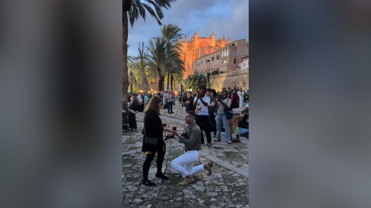 Un “sí” que emocionó en el Raïm Wine Fest de Palma: así fue la pedida de mano viral en pleno Parc de la Mar