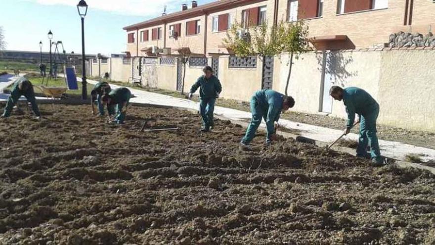 Los participantes en el programa realizan trabajos en una zona verde de Villaralbo.