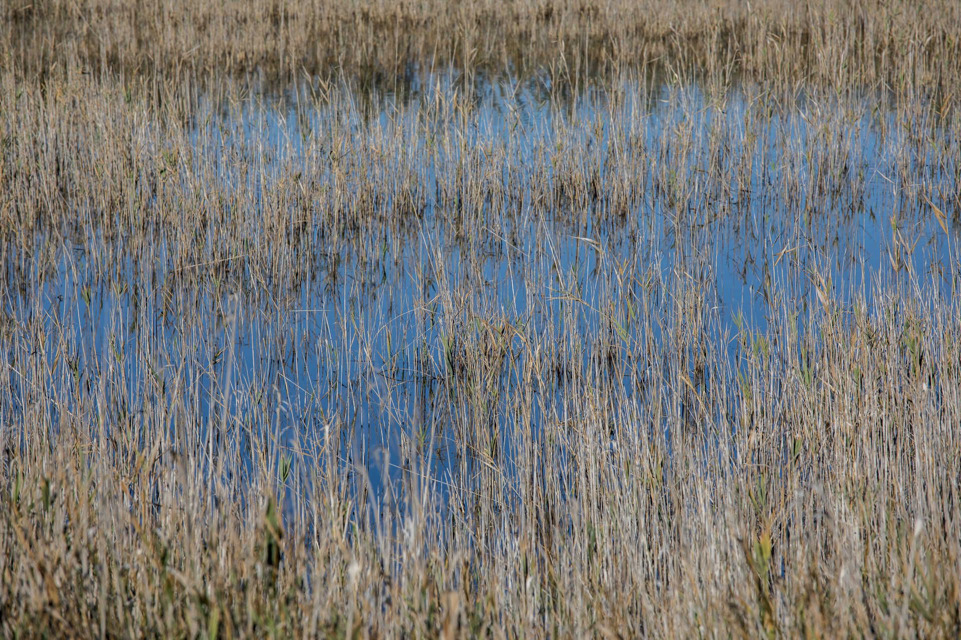 Parque natural del Prat de Cabanes-Torreblanca