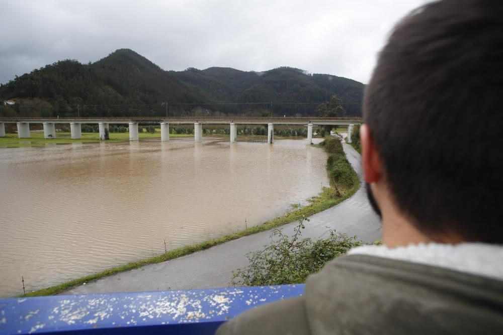 El río Nalón, en Pravia