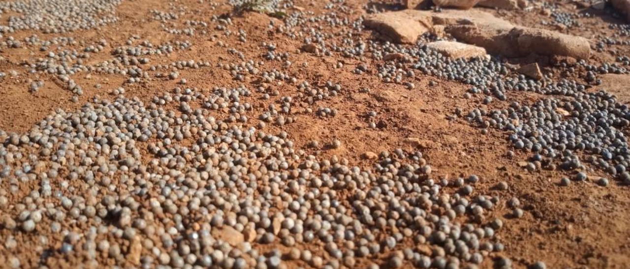 Detectan concentraciones de plomo contaminante en una senda del Montgó