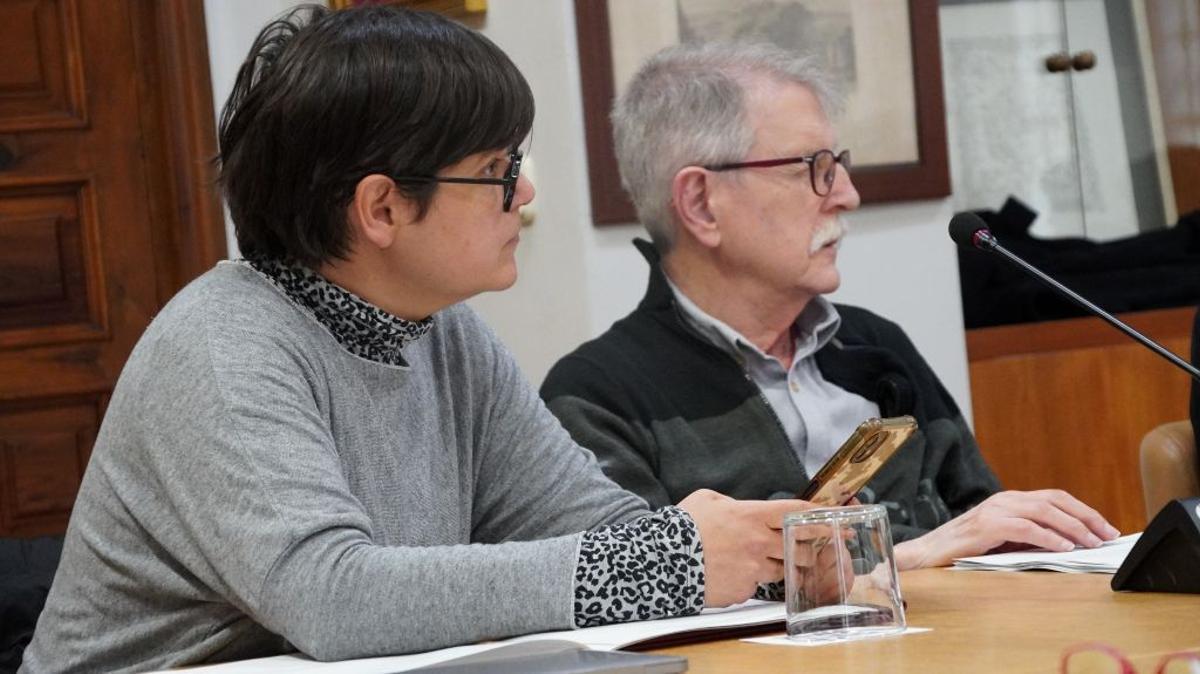 Imagen del pleno del Consell Valencià de Cultura de este lunes