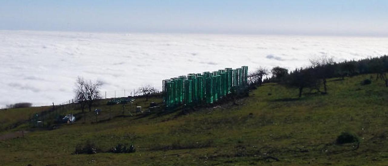 Cinco captanieblas en Los Moriscos aseguran agua para las reforestaciones