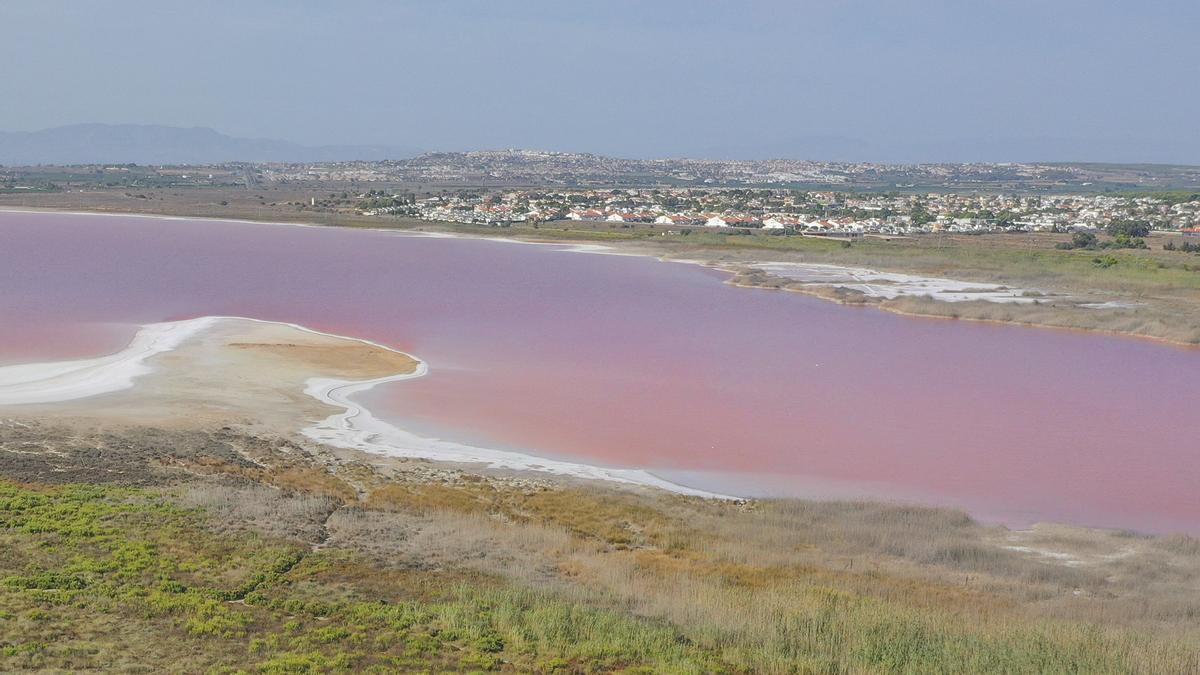 La laguna de Torrevieja recupera el rosa un año después