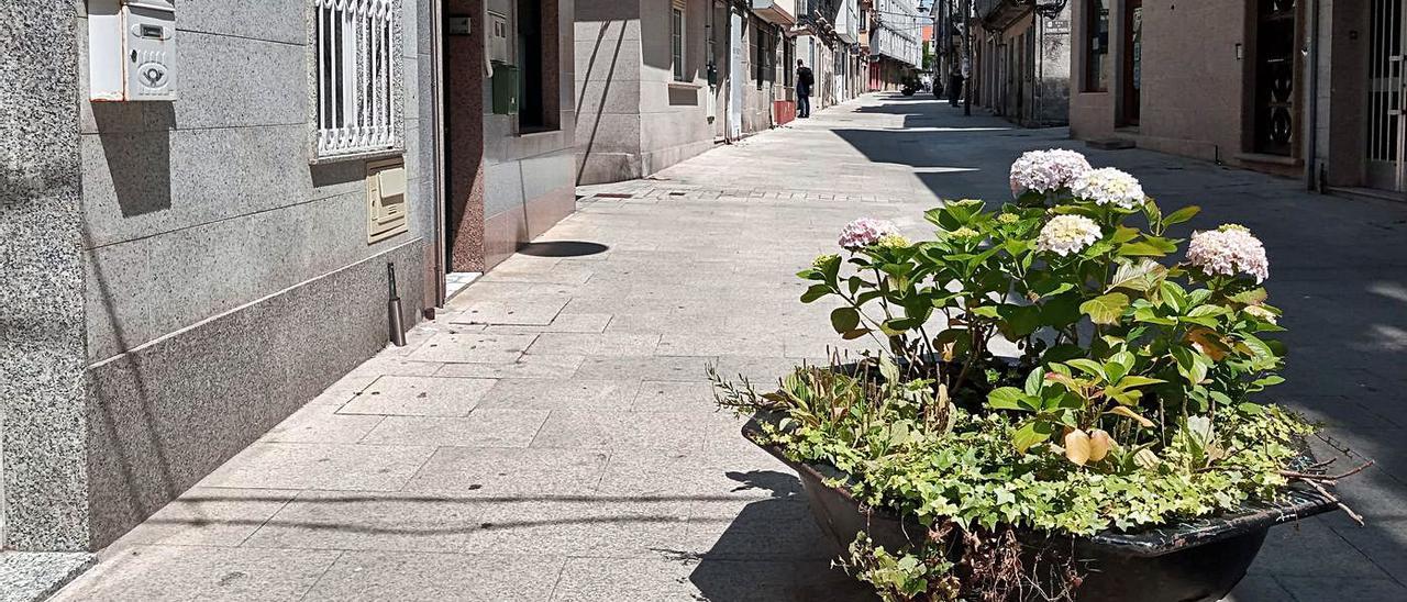 Las polémicas jardineras de O Forte. |