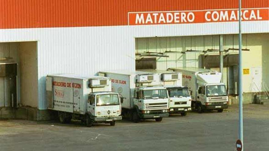 Vehículos frigoríficos aparcados en el matadero.