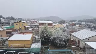 La borrasca Francis trae nieve a la Catalunya central: de copos dispersos en Manresa a paisajes blancos en el Moianès y el Berguedà