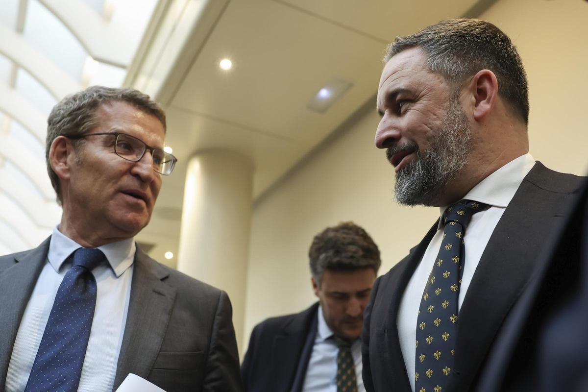 Alberto Núñez Feijóo y Santiago Abascal conversan en el Congreso.