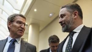 Alberto Núñez Feijóo y Santiago Abascal conversan en el Congreso.