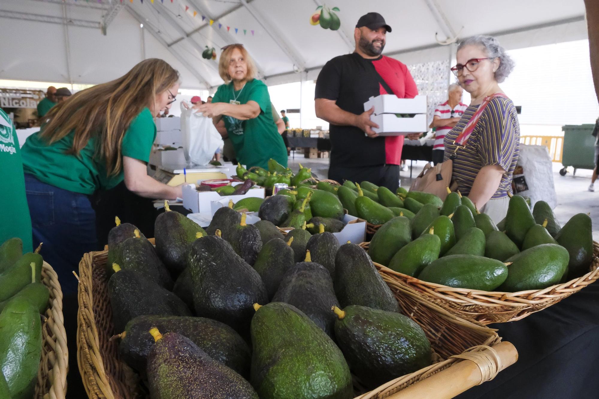 04-11-2024 MOGÁN. IX Feria del Aguacate de Mogán, en Arguineguín  | 01/12/2024 | Fotógrafo: Andrés Cruz