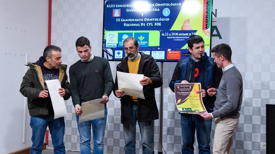 Medio millar de pájaros participan en el campeonato ornitológico regional que se celebra en Zamora