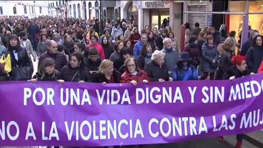 Miles de personas se manifiestan en Burgos contra la violencia machista