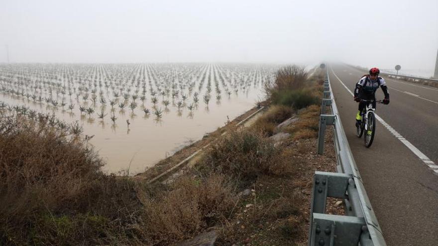 Un campo inundado en la Ribera Baja del Ebro. | ÁNGEL DE CASTRO