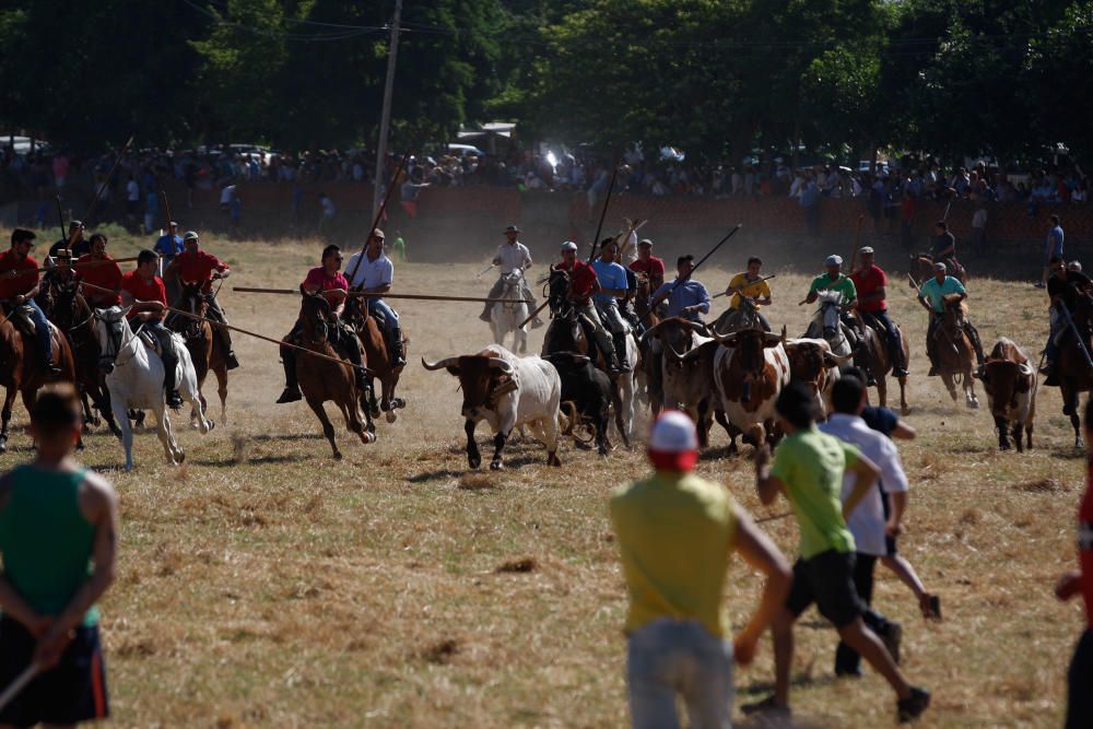 Espantes de Fuentesaúco