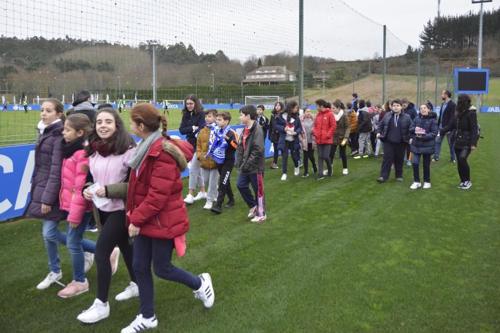 Colegio Fernández Latorre, en Escolas Branquiazuis